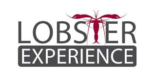 No Image added to Single-Image-Module